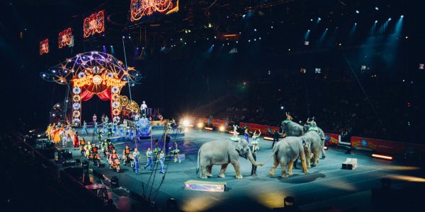 circus