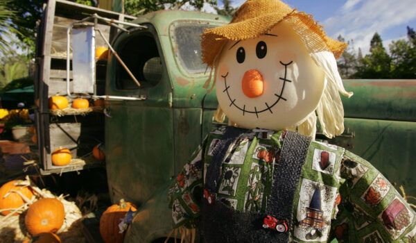 Fall Festival Scarecrow